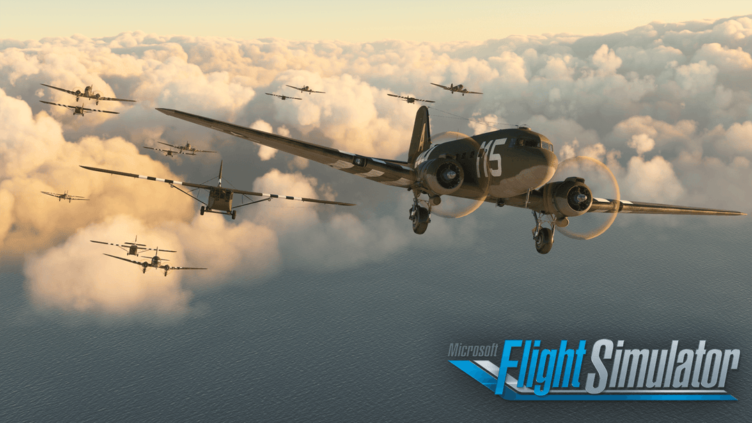 Microsoft Flight Simulator 2024 (Xbox Series X)