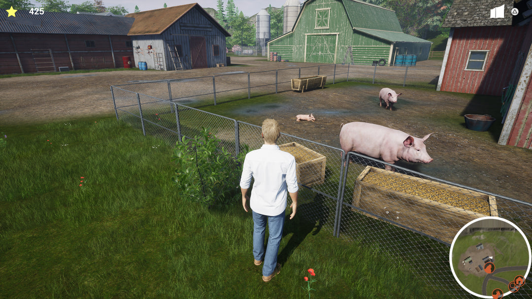 My Life: Farm Vet (PlayStation 5)