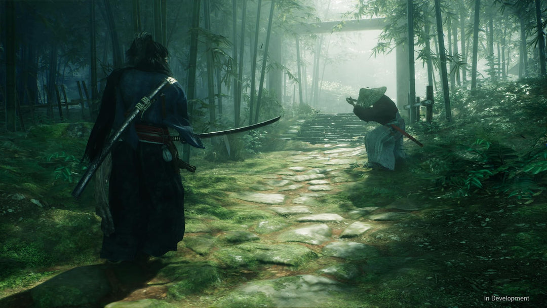 Rise of the Ronin (PlayStation 5)